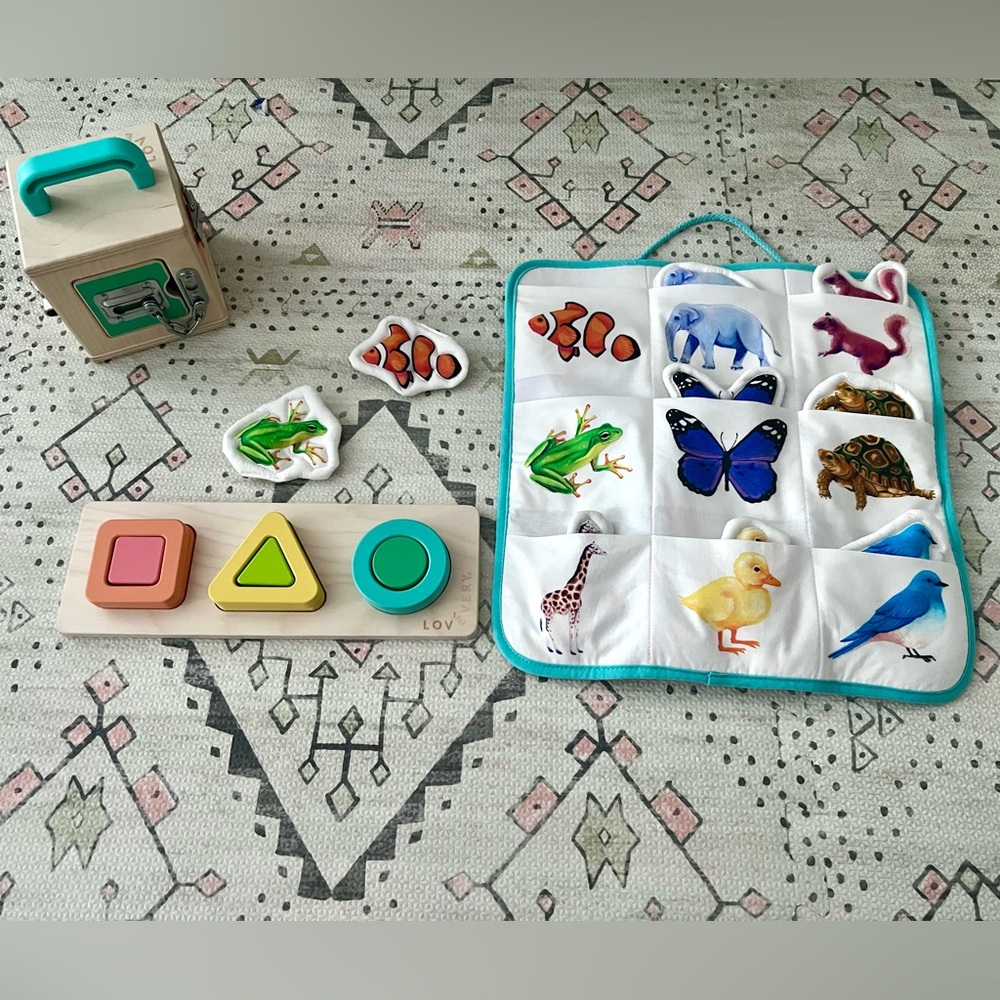 Lovevery Realist Kit (months 19,20,21)